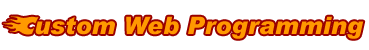 Custom Web Programming