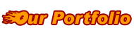 Our Portfolio