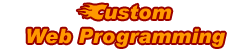Custom Web Programming